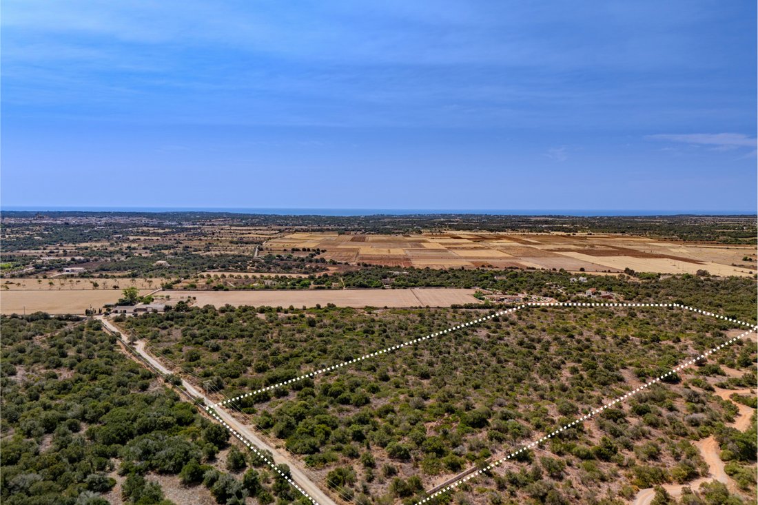 Land in es Llombards, Santanyi, Balearic Islands 3 - 18397747
