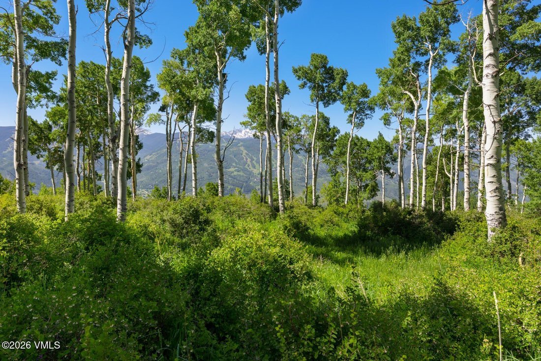 Land in Avon, Colorado, United States 5 - 18397841