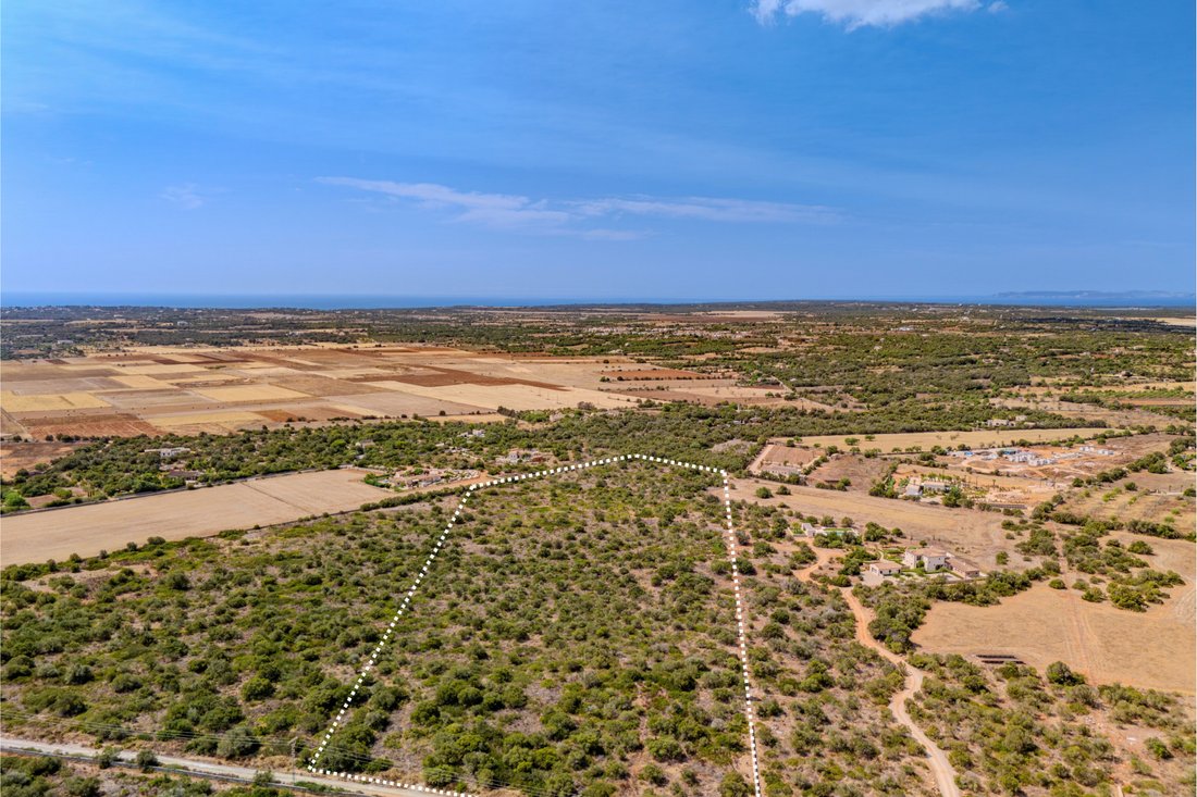 Land in es Llombards, Santanyi, Balearic Islands 4 - 18397747