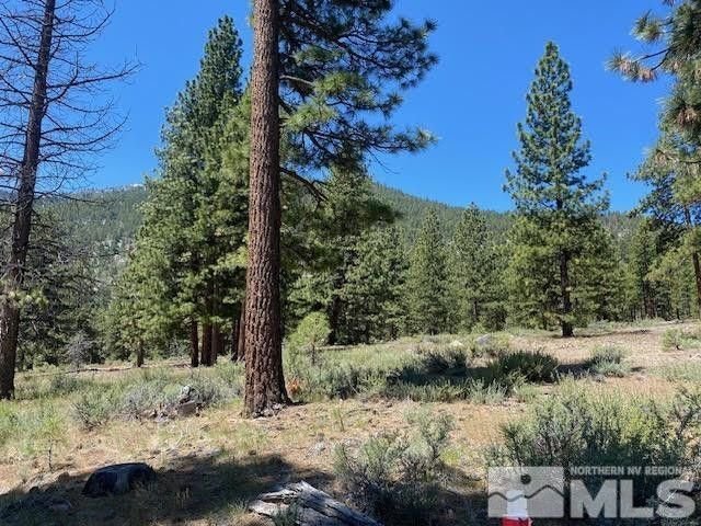 Land in Genoa, Nevada, United States 1 - 18397927