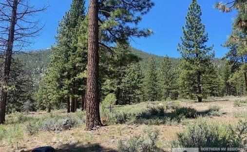 Terreno a Genoa, Nevada, Stati Uniti 1