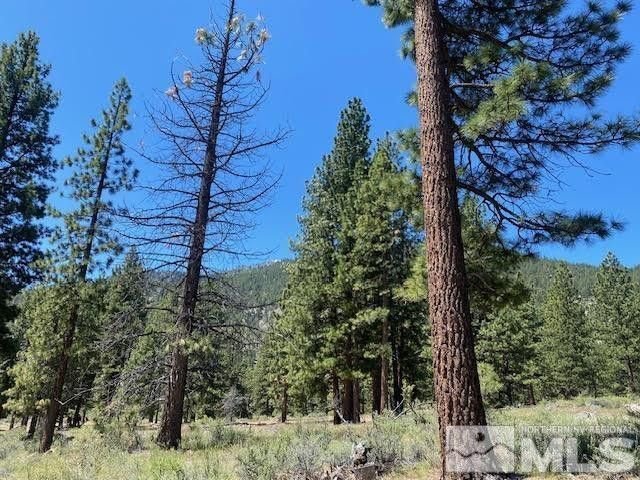 Land in Genoa, Nevada, United States 4 - 18397927