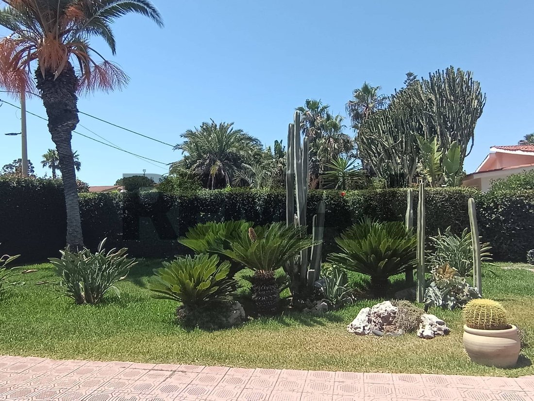 Villa a Riserva di Vendicari - Marzamemi - San Lorenzo, Noto, Sicilia 5 - 18397637