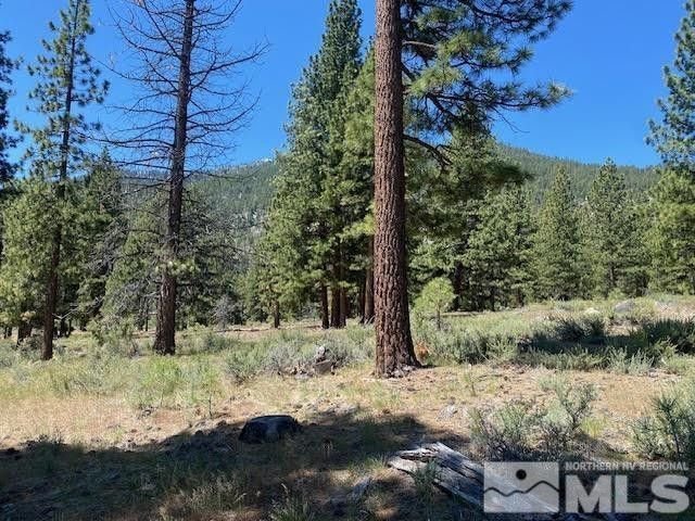 Land in Genoa, Nevada, United States 2 - 18397927