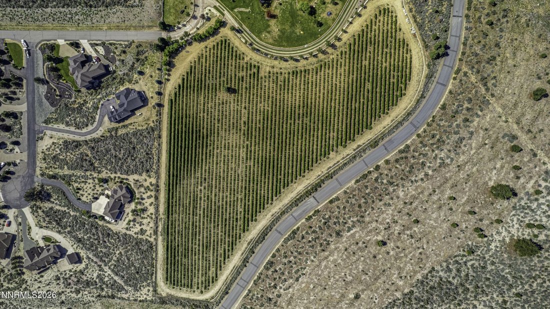 House in Gardnerville, Nevada, United States 5 - 18397732