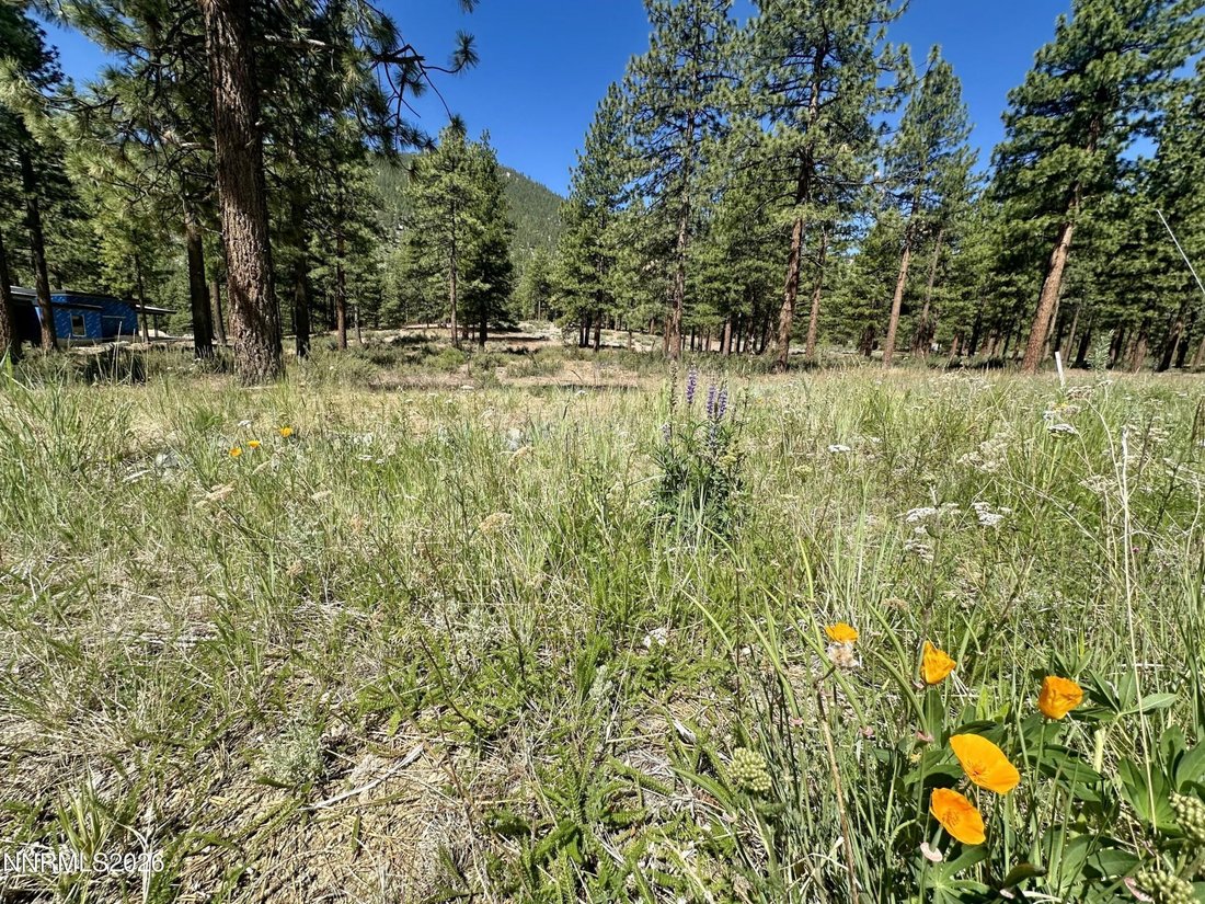 Land in Genoa, Nevada, United States 1 - 18397699