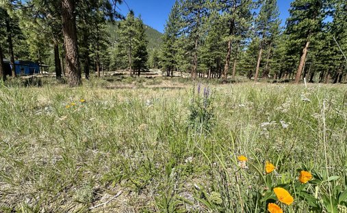 Terrain à Genoa, Nevada, États-Unis 1