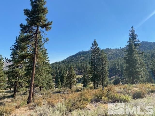 Land in Genoa, Nevada, United States 4 - 18398112