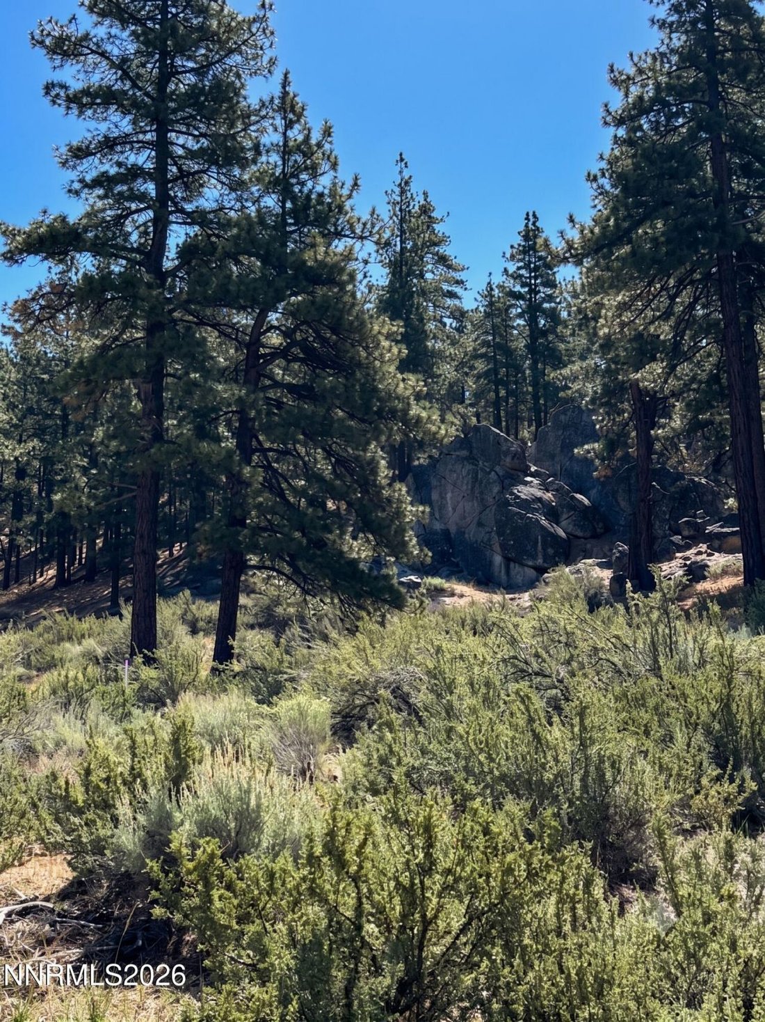Land in Genoa, Nevada, United States 1 - 18398160