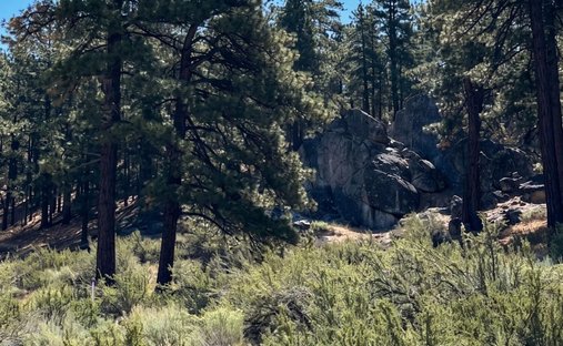 Land in Genoa, Nevada, United States 1