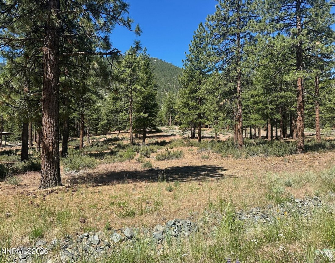Land in Genoa, Nevada, United States 2 - 18397699