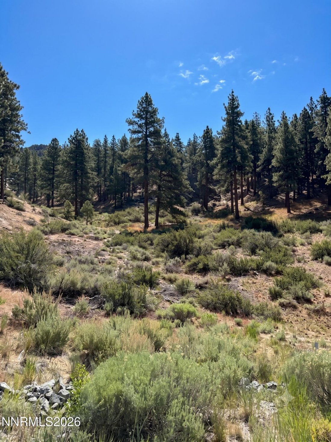 Land in Genoa, Nevada, United States 3 - 18398160