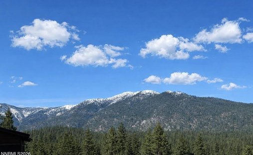 Land in Genoa, Nevada, United States 1