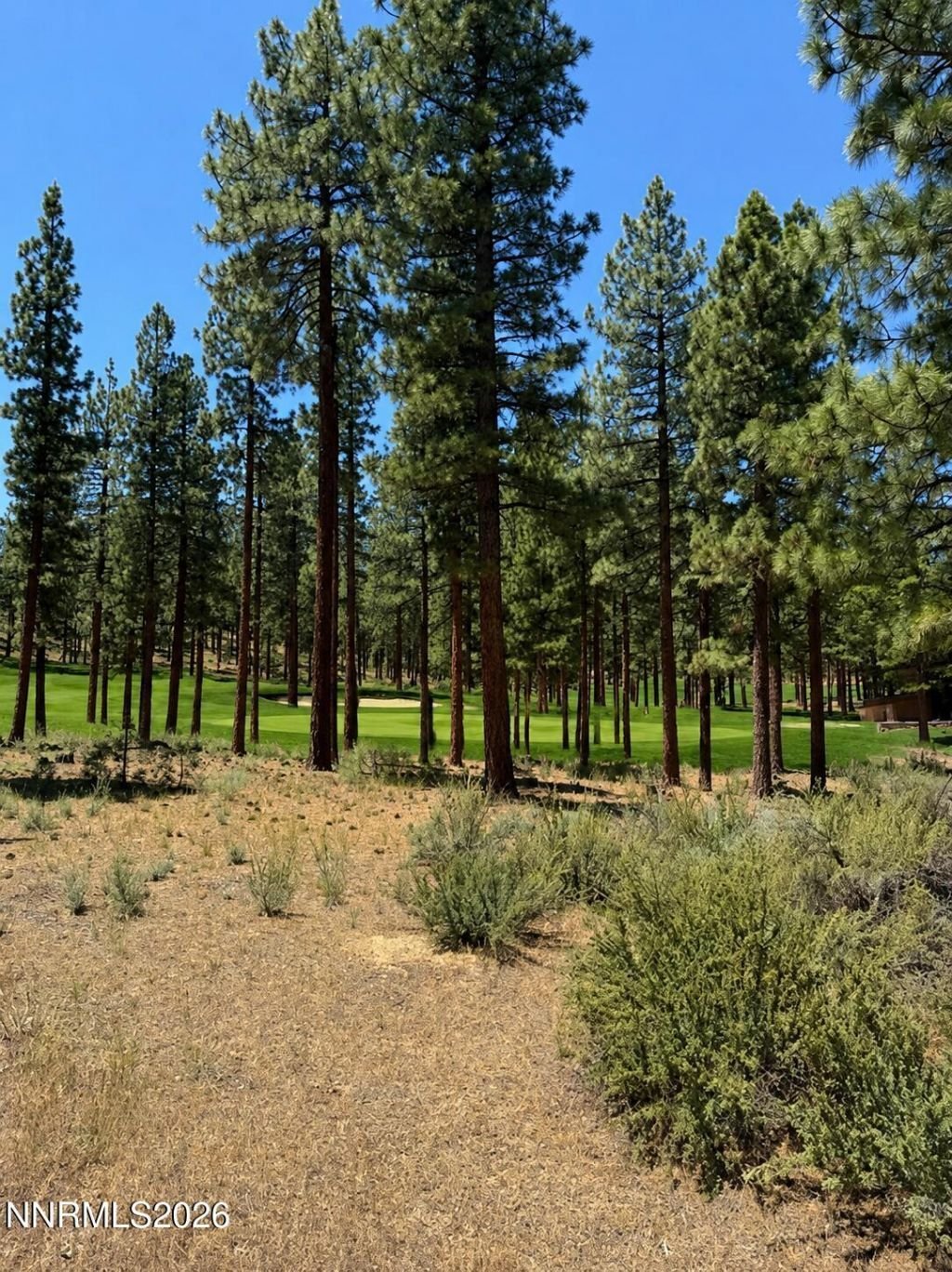 Land in Genoa, Nevada, United States 1 - 18397701