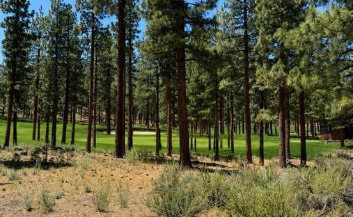 Land in Genoa, Nevada, United States 1