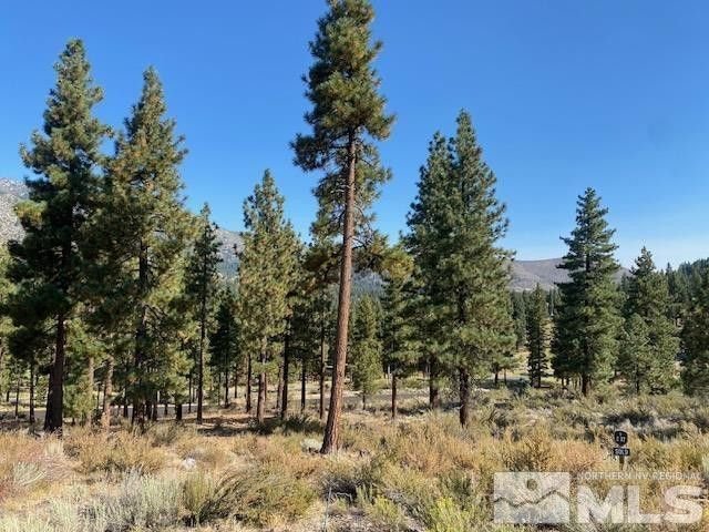 Land in Genoa, Nevada, United States 3 - 18398112
