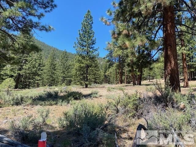 Land in Genoa, Nevada, United States 3 - 18397927