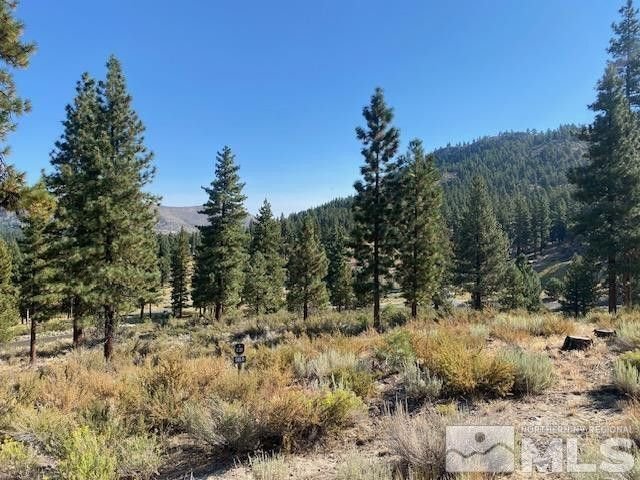 Land in Genoa, Nevada, United States 1 - 18398112