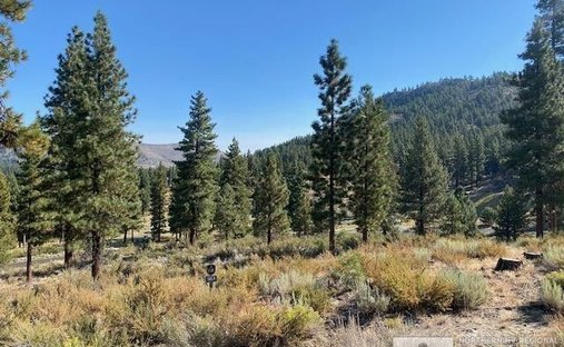 Land in Genoa, Nevada, United States 1