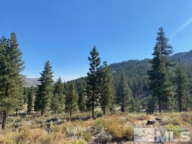 Land in Genoa, Nevada, United States 2 - 18398112
