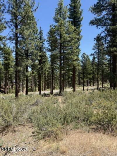 Land in Genoa, Nevada, United States 3 - 18397701