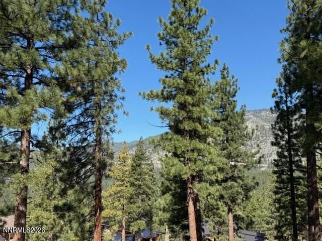 Land in Genoa, Nevada, United States 5 - 18397884