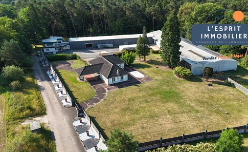 House in Longeville-les-Saint-Avold, Grand Est, France 1