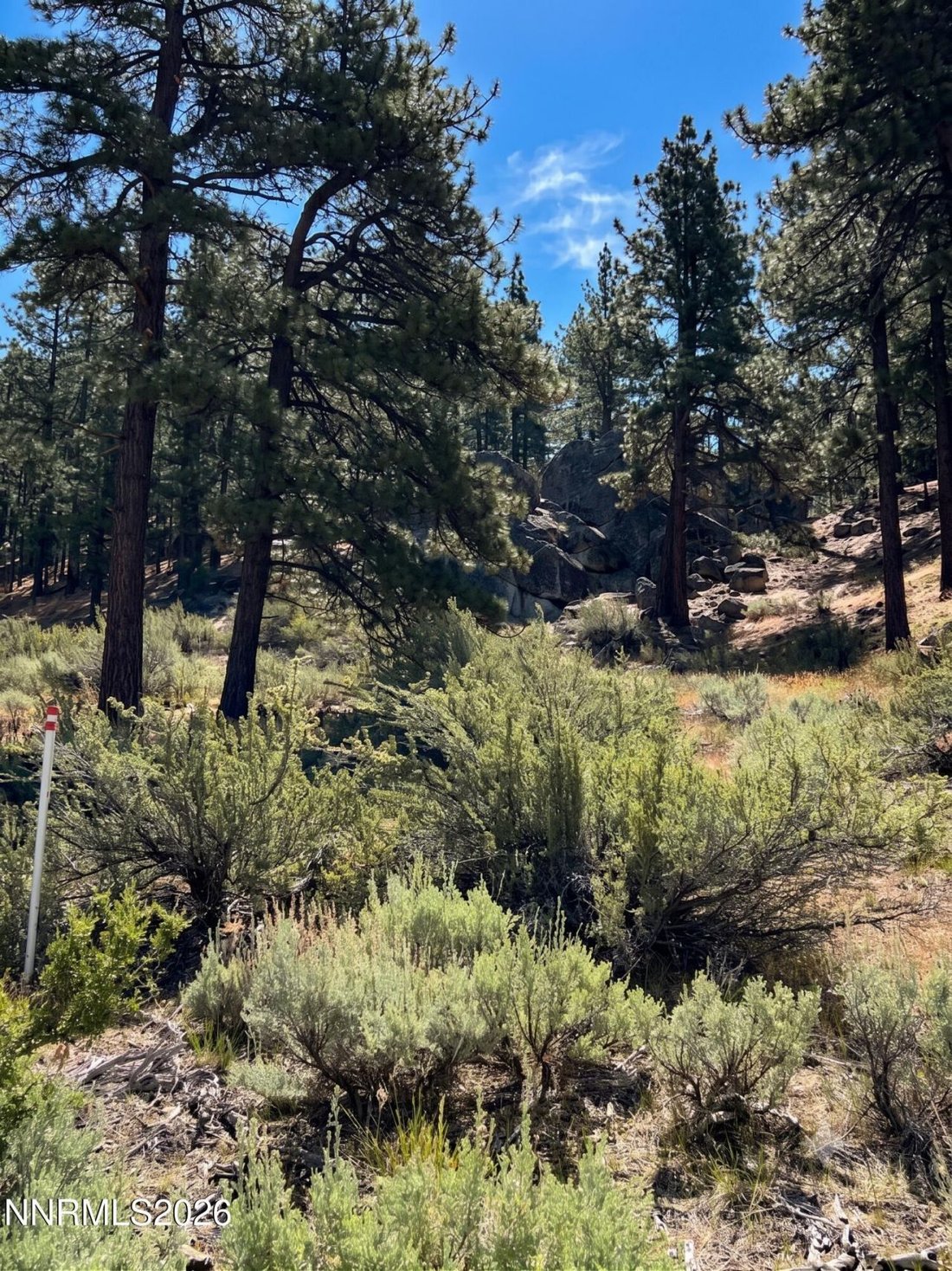 Land in Genoa, Nevada, United States 2 - 18398160