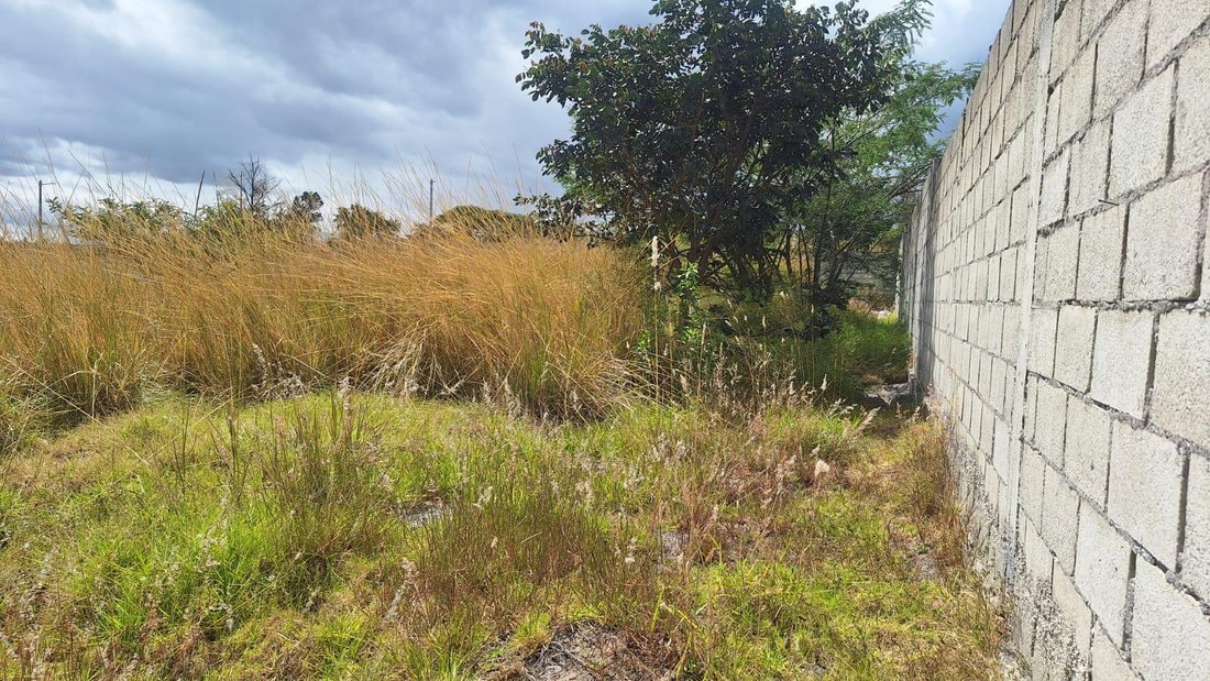 Land in Quito, Pichincha, Ecuador 2 - 18397685