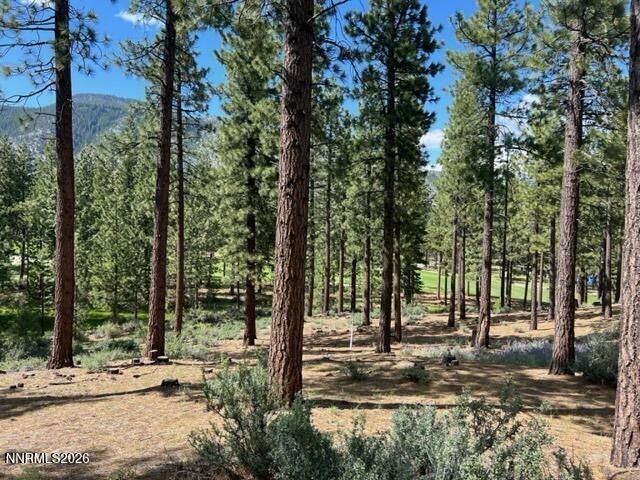 Land in Genoa, Nevada, United States 4 - 18398162