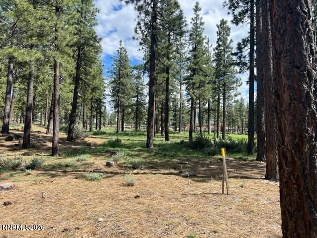 Land in Genoa, Nevada, United States 5 - 18398162