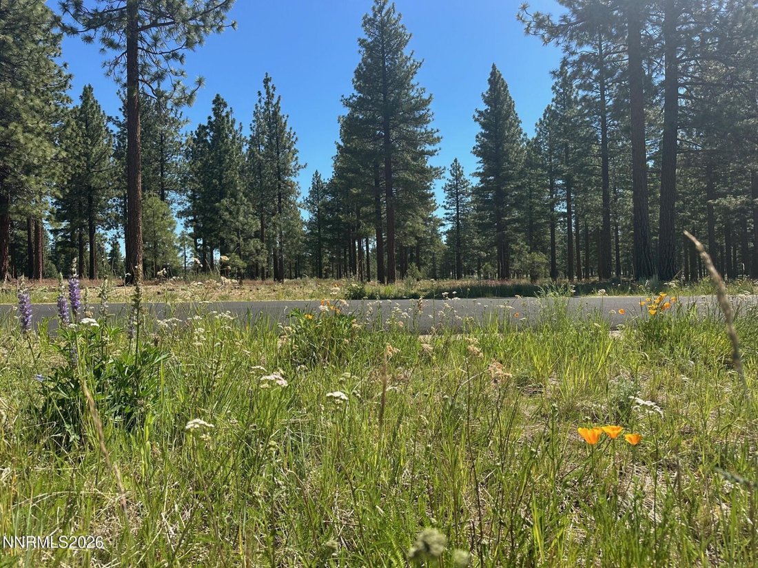 Land in Genoa, Nevada, United States 4 - 18397699