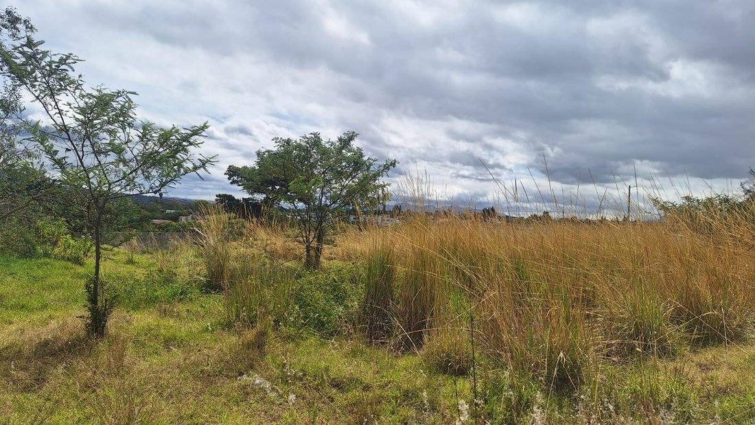 Land in Quito, Pichincha, Ecuador 1 - 18397685