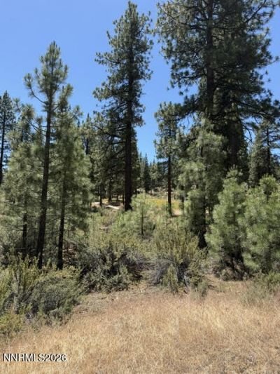 Land in Genoa, Nevada, United States 2 - 18397701