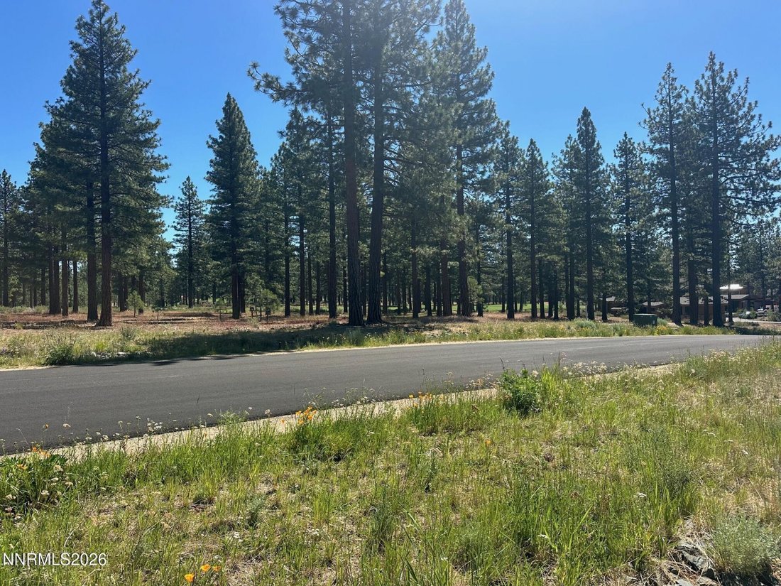 Land in Genoa, Nevada, United States 3 - 18397699
