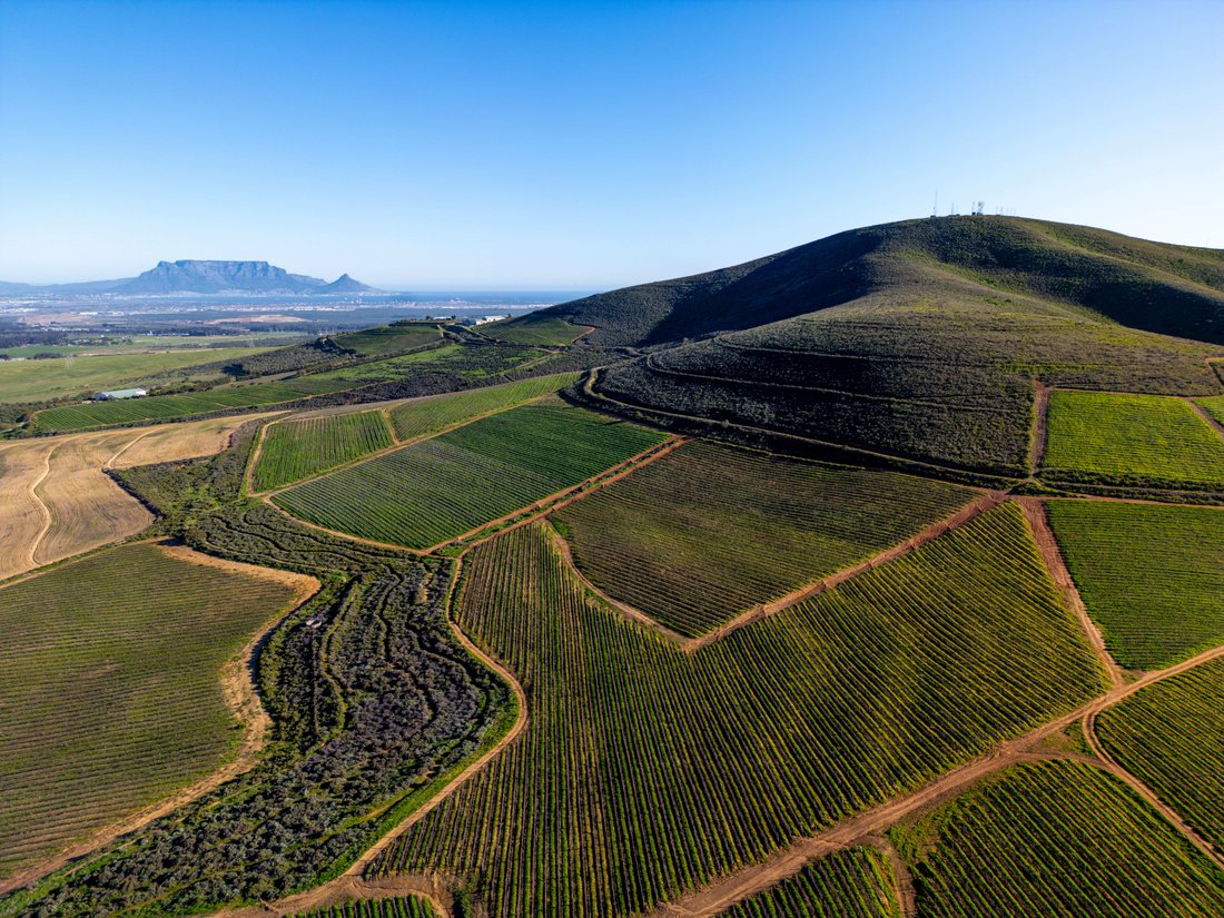 Farm Ranch in Cape Farms, Cape Town, Western Cape 3 - 18398649