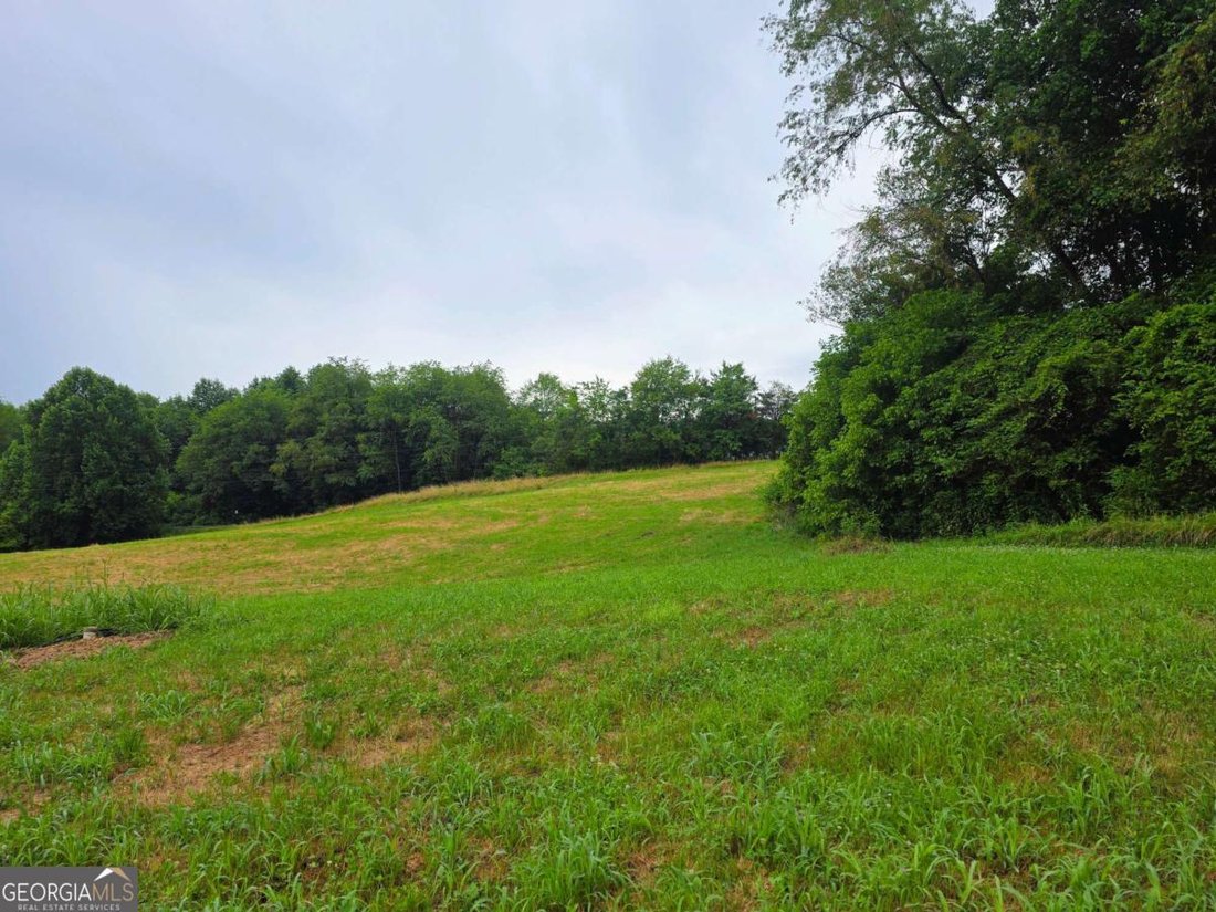 House in Morganton, Georgia, United States 4 - 18399450