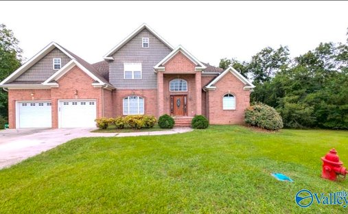 House in Rainbow City, Alabama, United States 1