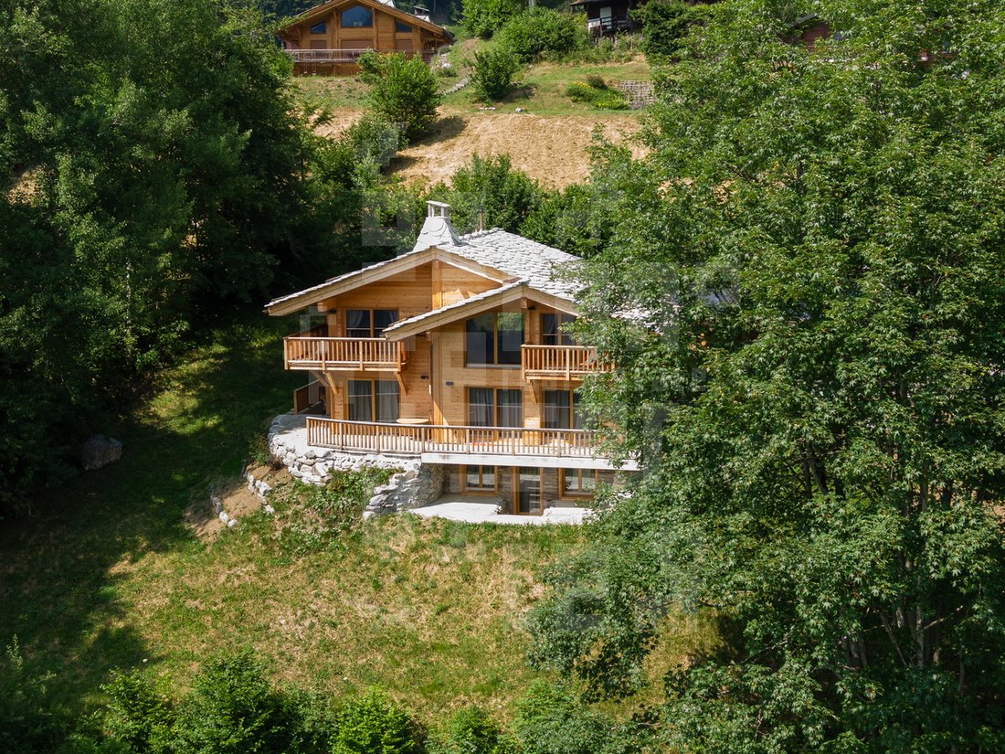 Chalet in Bex, Vaud, Switzerland 2 - 18360280