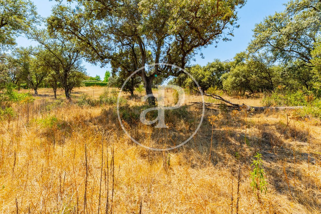 Land in San Sebastián de los Reyes, Comunidad de Madrid, Spain 4 - 18399865