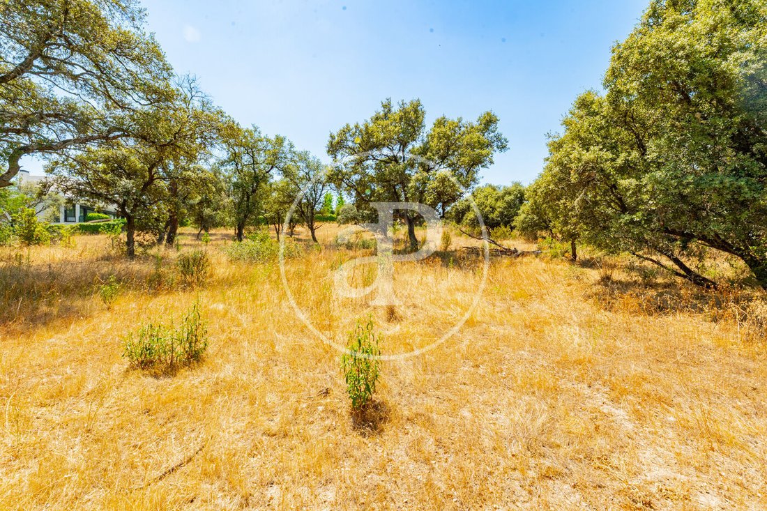 Land in San Sebastián de los Reyes, Comunidad de Madrid, Spain 2 - 18399865
