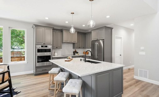 House in Littleton, Colorado, United States 1