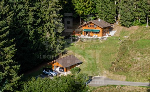 Chalet in Bex, Waadt, Schweiz 1