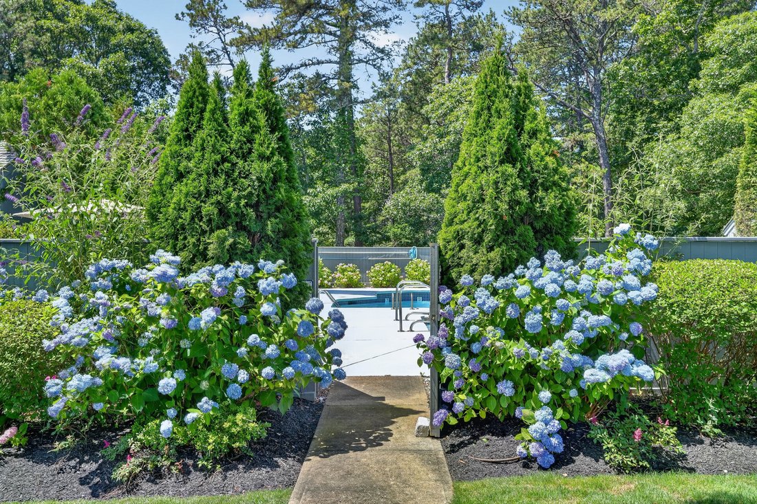 Condo in Edgartown, Massachusetts, United States 3 - 18400047