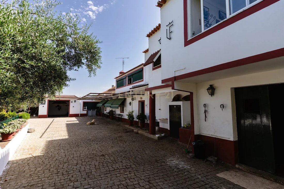Farm Ranch in Sao Bras e Sao Lourenco, Portalegre District, Portugal 4 - 18400149