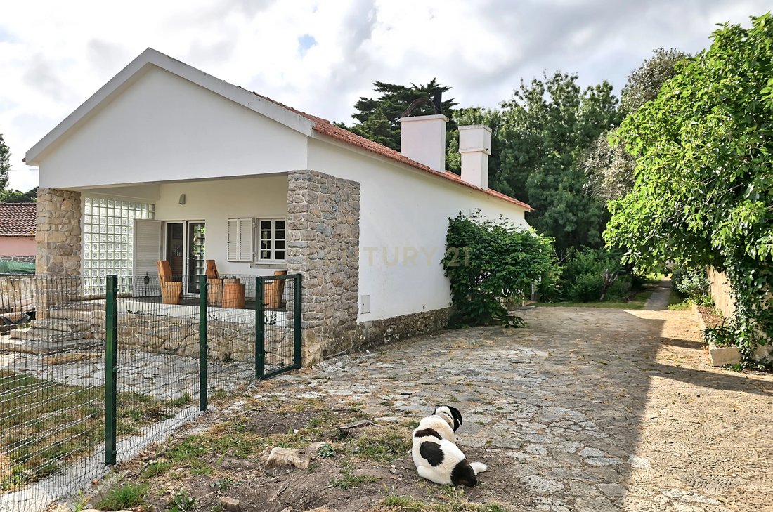 Villa in Sintra, Lisbon, Portugal 3 - 17389083