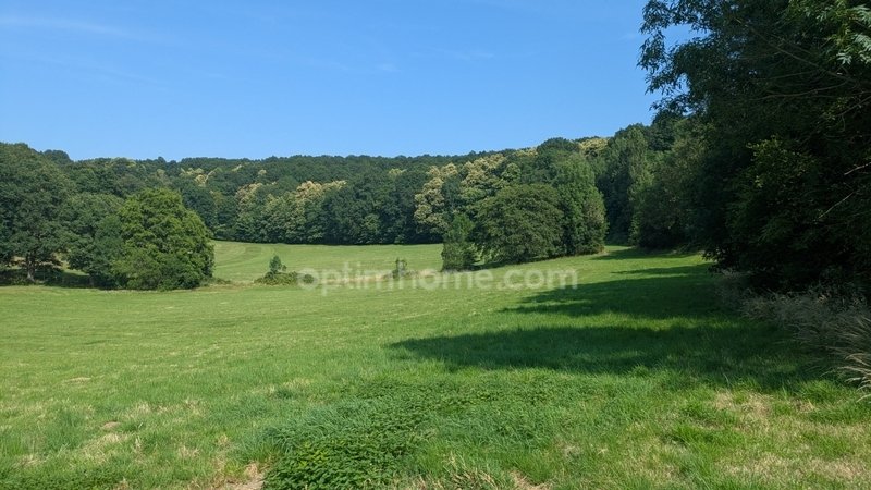 Farm Ranch in Avezé, Pays de la Loire, France 2 - 18400473