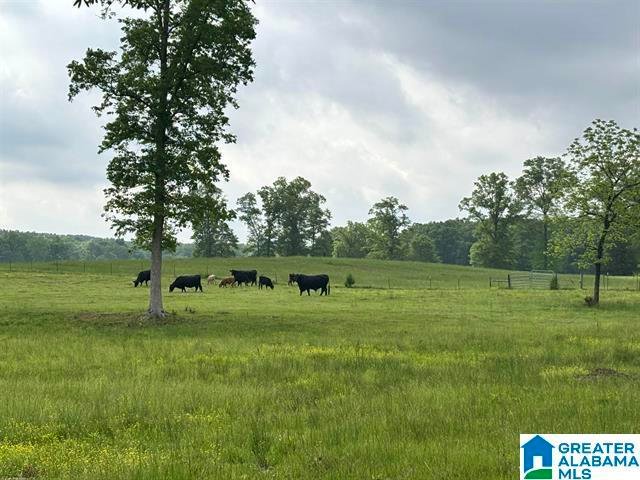 House in Columbiana, Alabama, United States 5 - 18401249