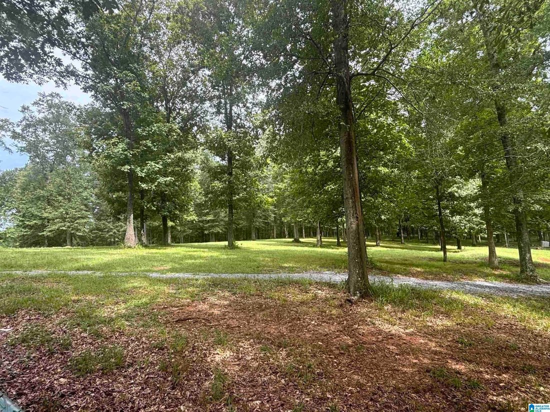 House in Columbiana, Alabama, United States 4 - 18401249