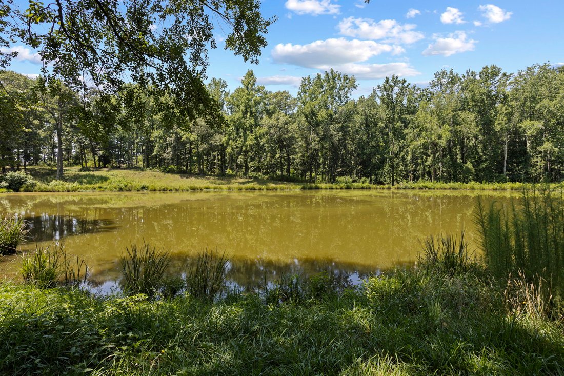House in Duncan, South Carolina, United States 3 - 18402351